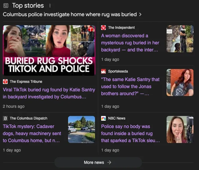 Katie Santry’s Viral Rug Mystery: The Power of Social Media